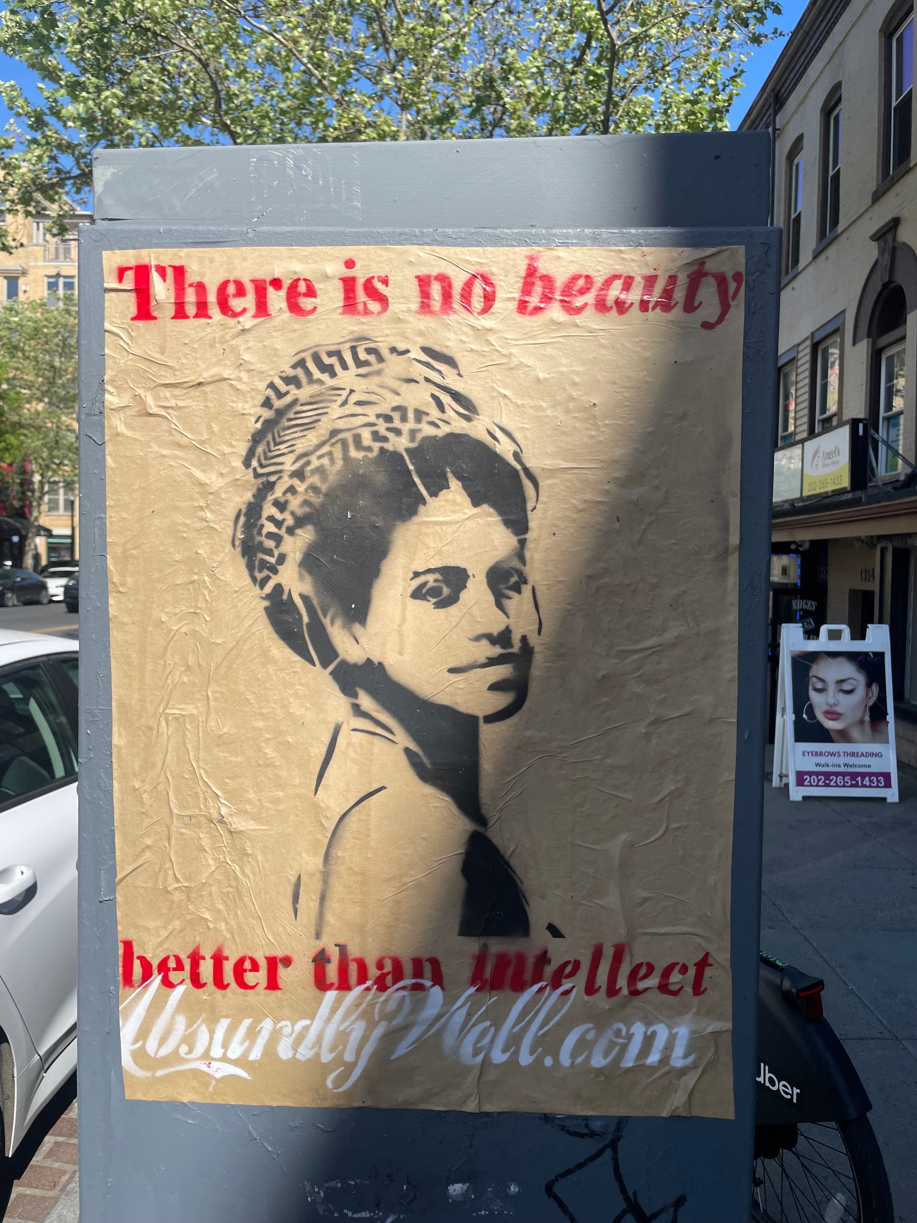 Street Poster - (On Beauty & Intellect) LIMITED QUANTITY!
